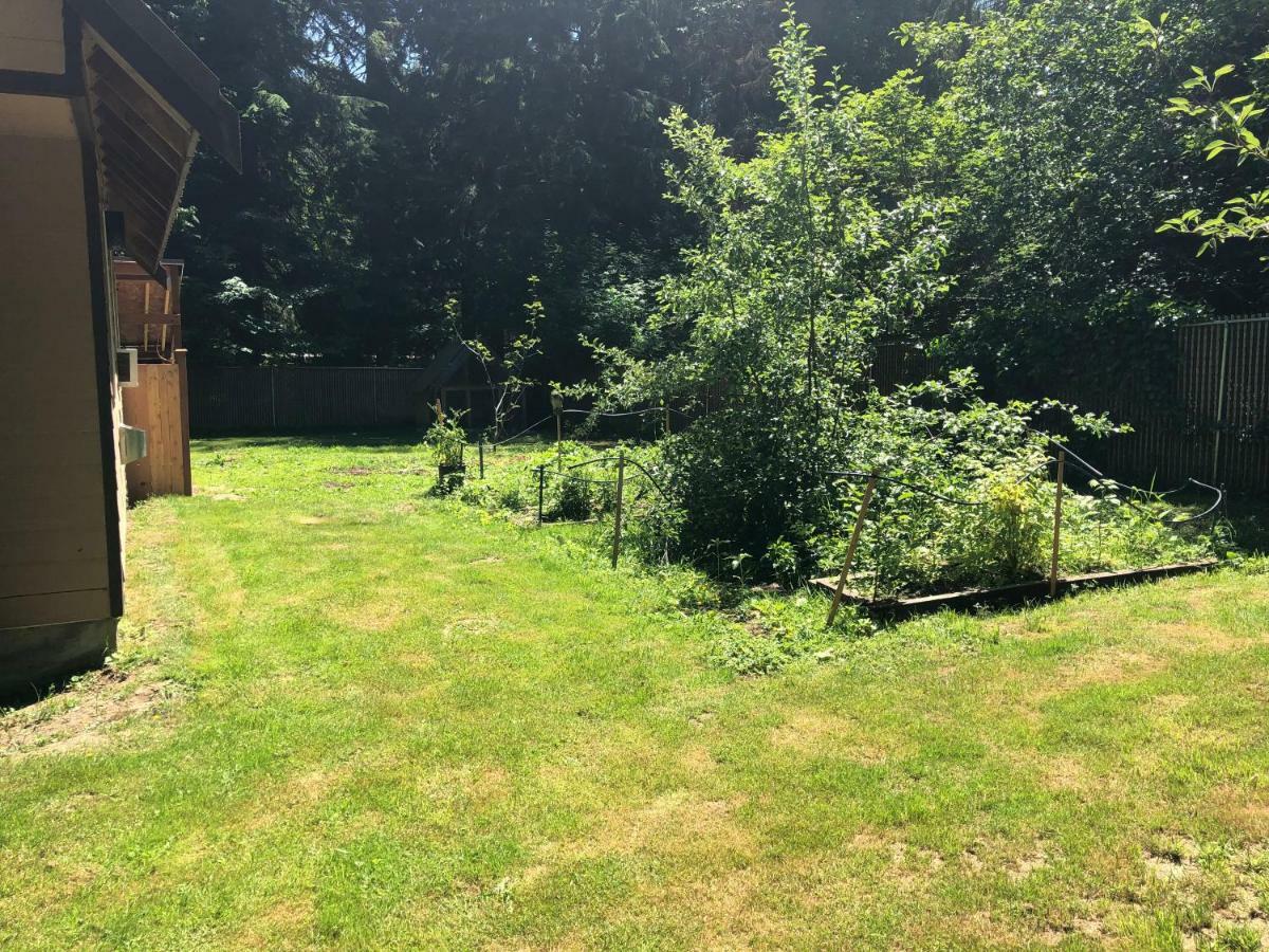 Blackberry Bunkhouse Ashford Εξωτερικό φωτογραφία