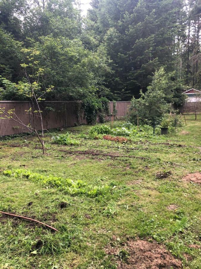 Blackberry Bunkhouse Ashford Εξωτερικό φωτογραφία